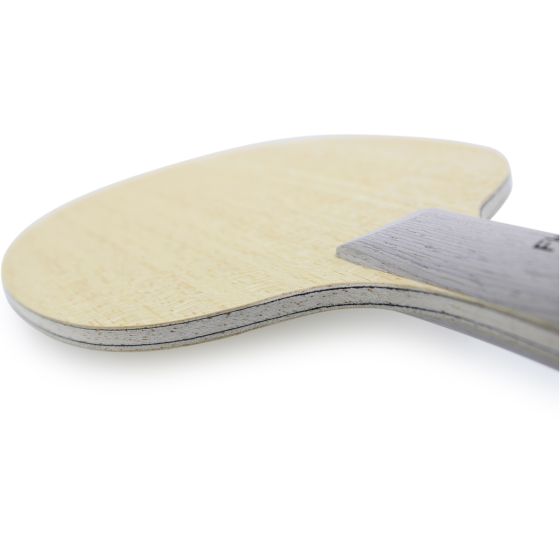 Sauer & Tröger Black & White3