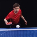 Sportswear - Donic T-Shirt Scorpion Red/Black