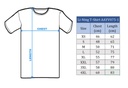 Sportswear - Li-Ning National T-Shirt AAYV075-1 3