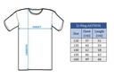 Sportswear - Li-Ning Set Shirt+Shorts AATU048-1C blue/black 3